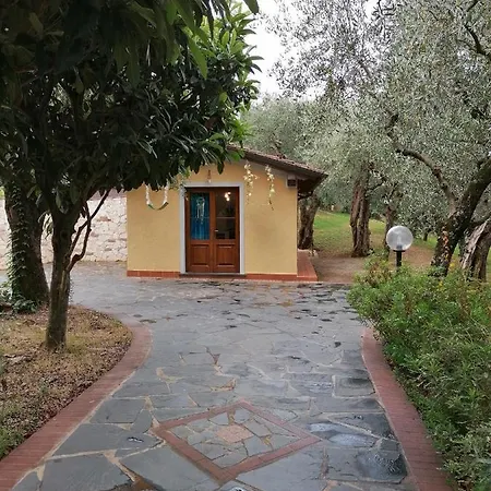 Casina Versilia Апартаменты *