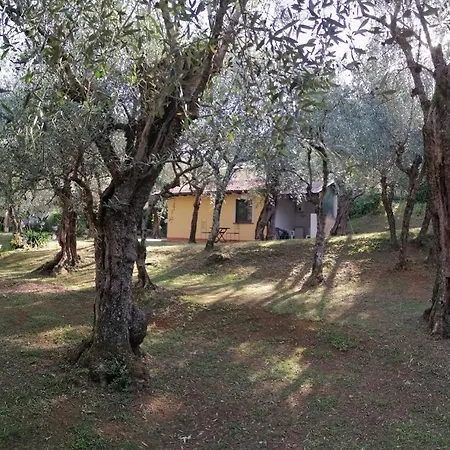 Casina Versilia