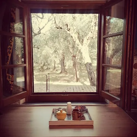 Апартаменты Casina Versilia