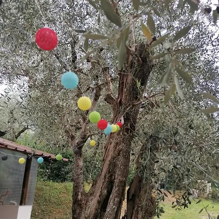 Casina Versilia Пьетразанта