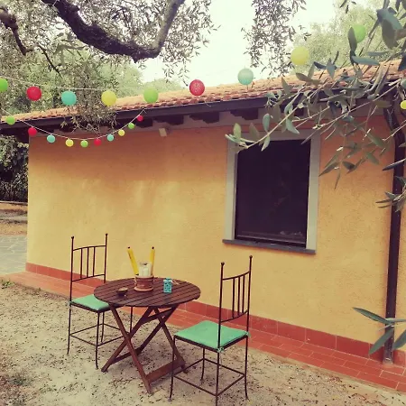 Casina Versilia Апартаменты