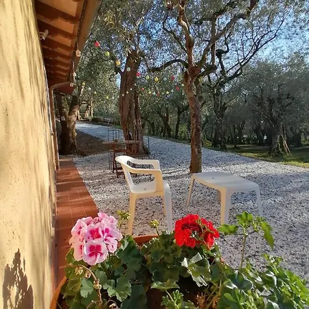 Апартаменты Casina Versilia Пьетразанта