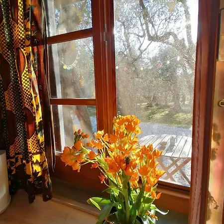 Casina Versilia * Пьетразанта