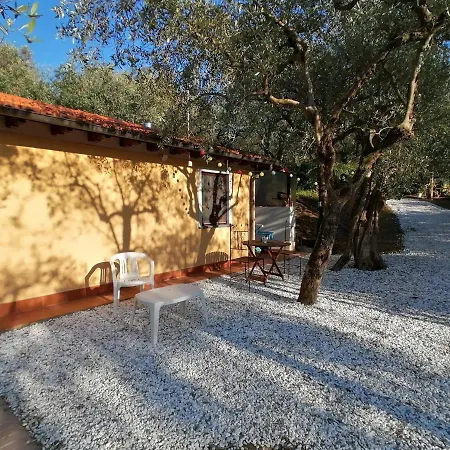 Апартаменты Casina Versilia *